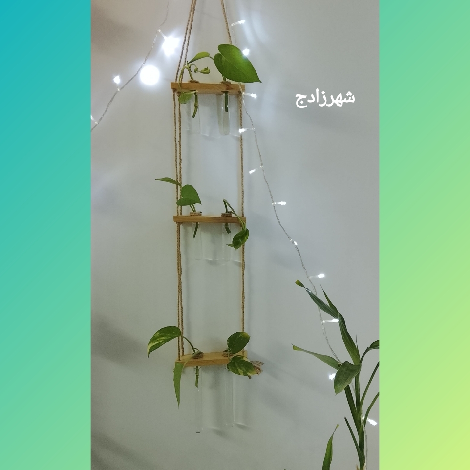 دیوارکوب گلجا