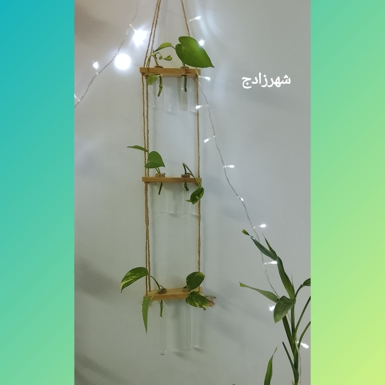 دیوارکوب گلجا